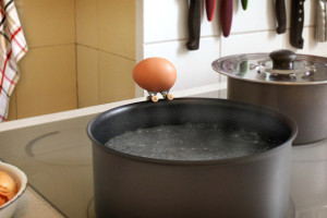 Фотопроект "Skitchen" от Benoit Jammes