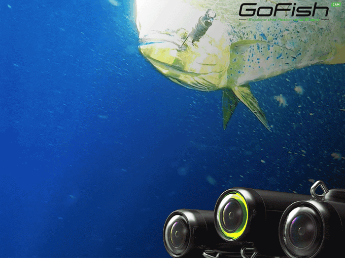 GoFish Cam: экшн-камера для рыбалки
