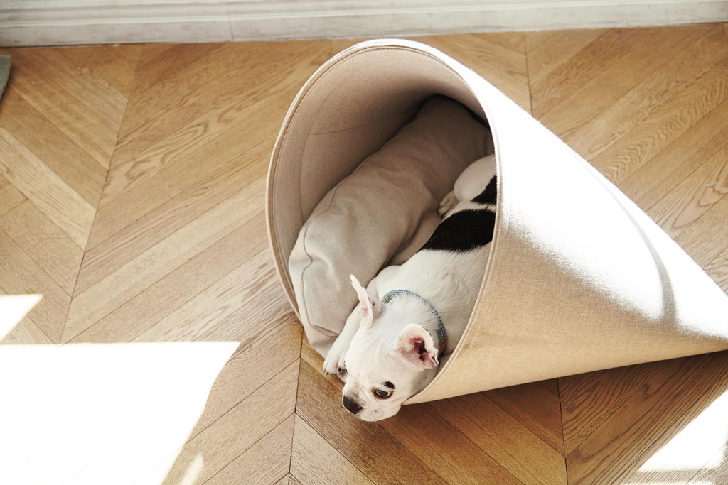Дизайнерские диваны и лежаки для собак от HOWLPOT