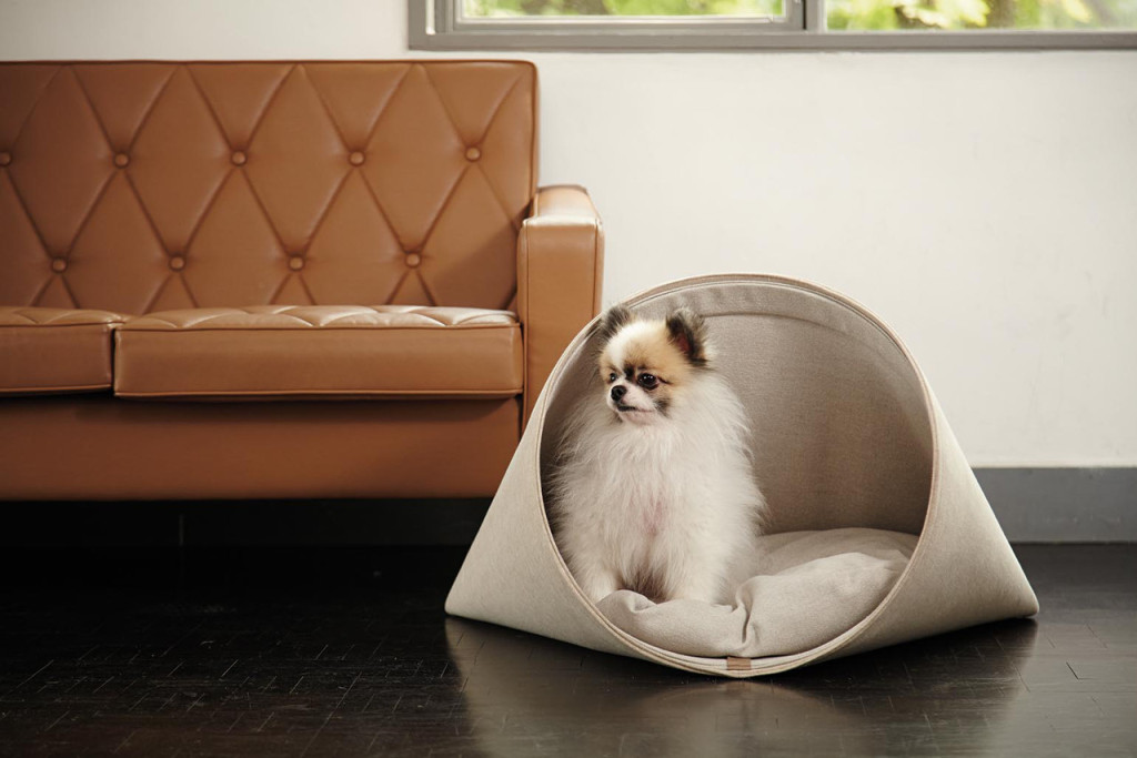 Дизайнерские диваны и лежаки для собак от HOWLPOT