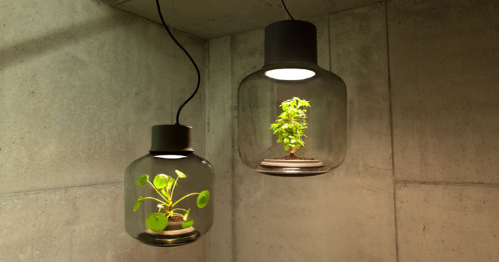 Mygdal Plantlamp: ваза-лампа для растений от We Love Eames