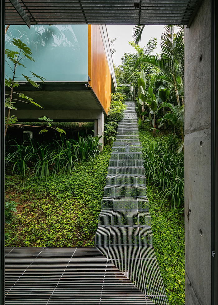 Идея для ландшафтного дизайна: лестница, позволяющая растениям расти под ней
