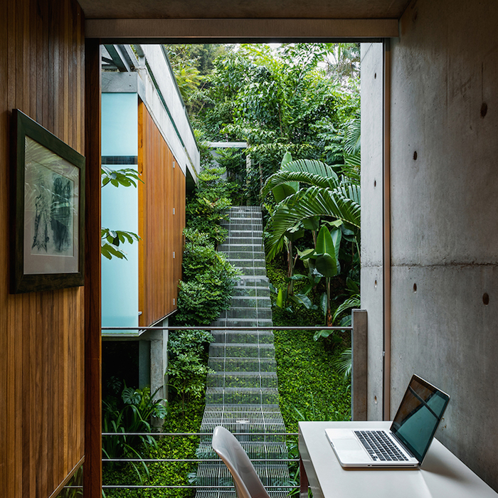 Идея для ландшафтного дизайна: лестница, позволяющая растениям расти под ней