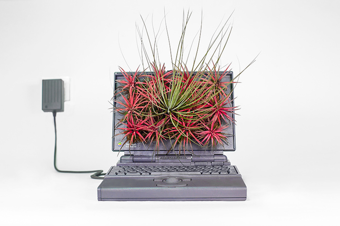 Plant Your Mac: горшки для растений из компьютеров Mac