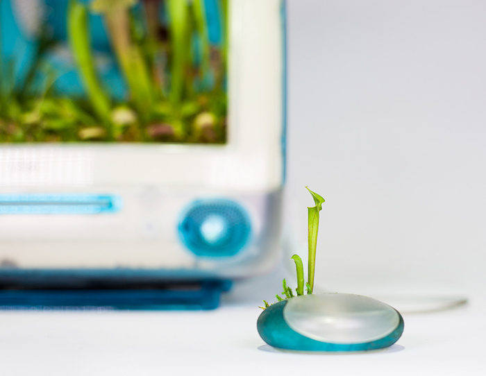 Plant Your Mac: горшки для растений из компьютеров Mac