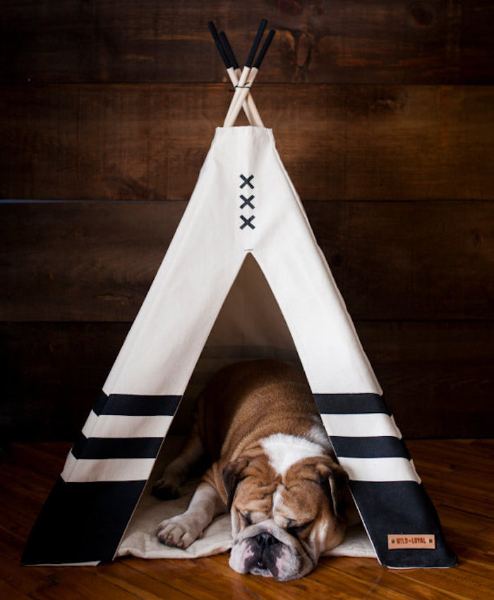 Pet Teepee: оригинальный лежак для собаки