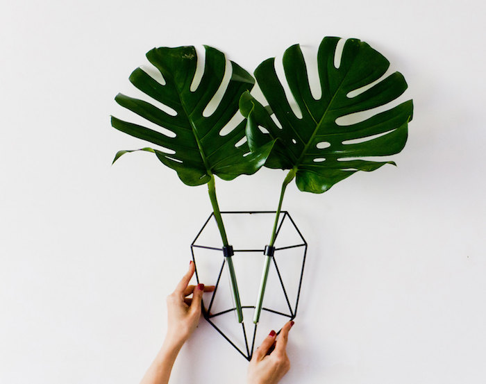 EcoDeer: необычная настенная ваза для цветов