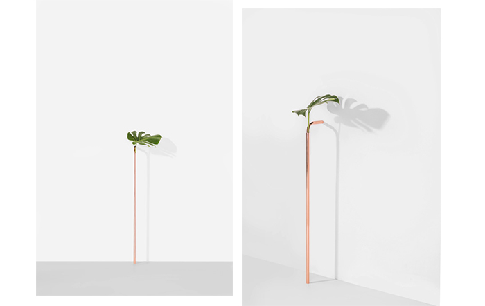 Solo Vase: стильная ваза для одного цветка от Guilherme Wentz